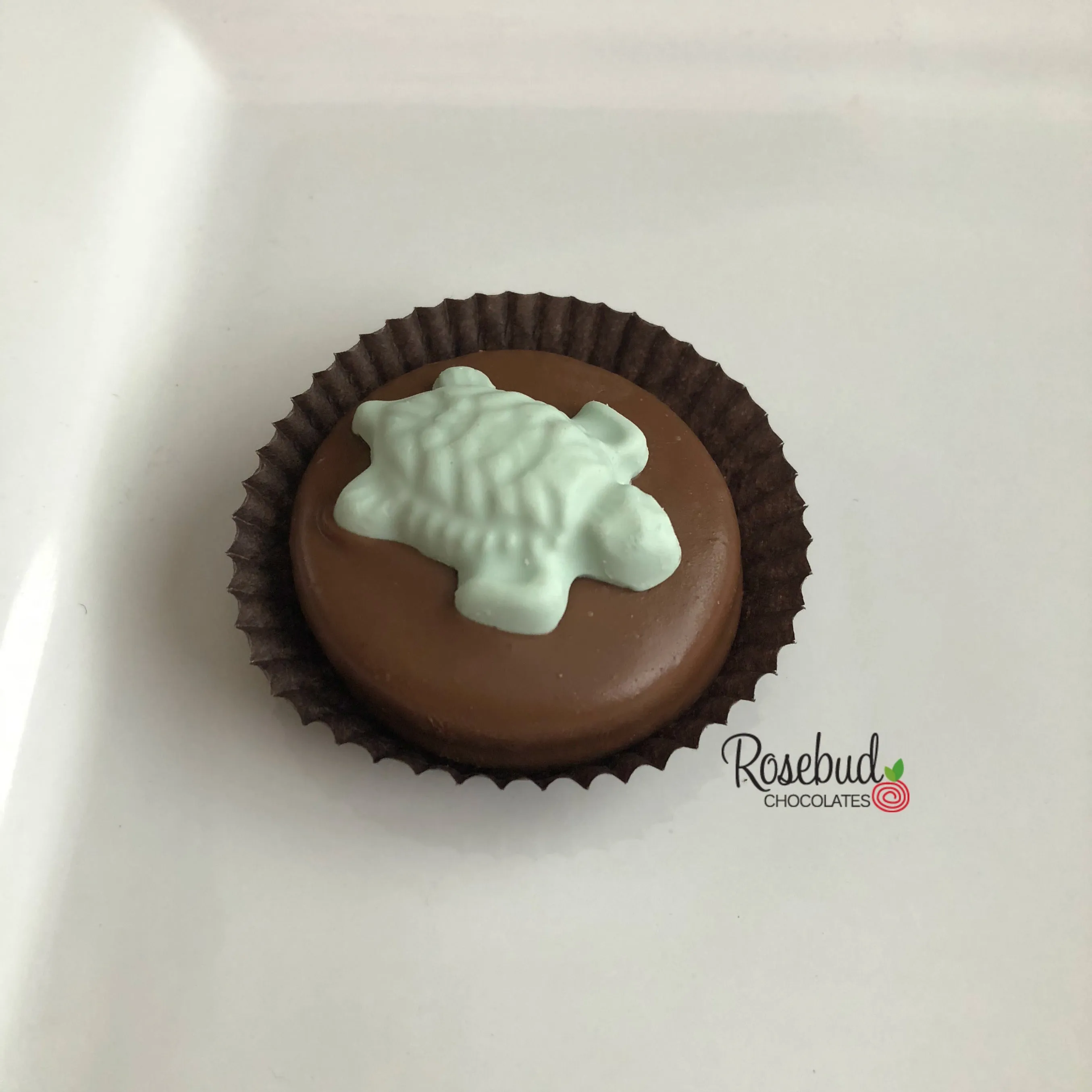 12 TURTLE Chocolate Covered Oreo Cookie Candy Party Favors