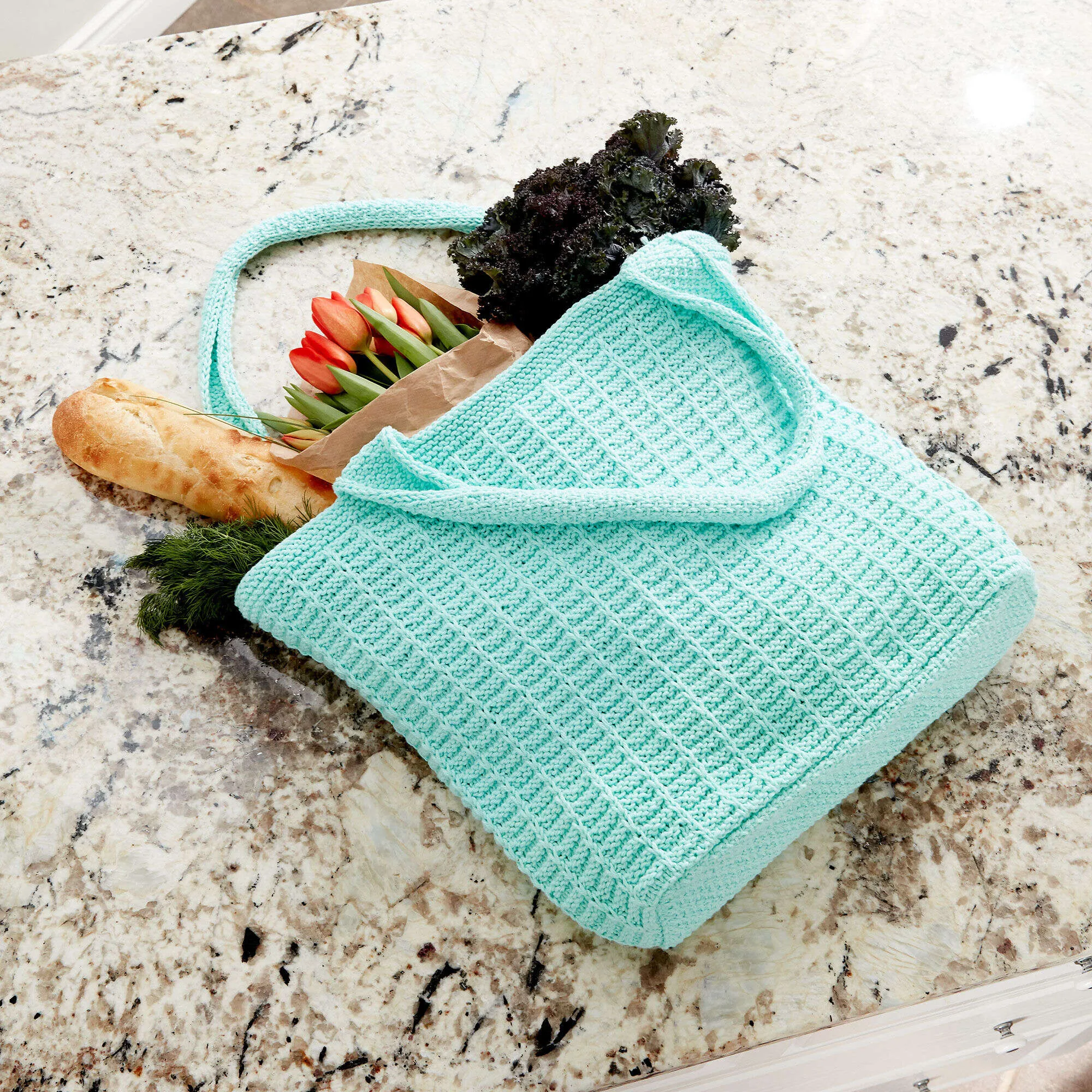 Bernat Knit Market Tote