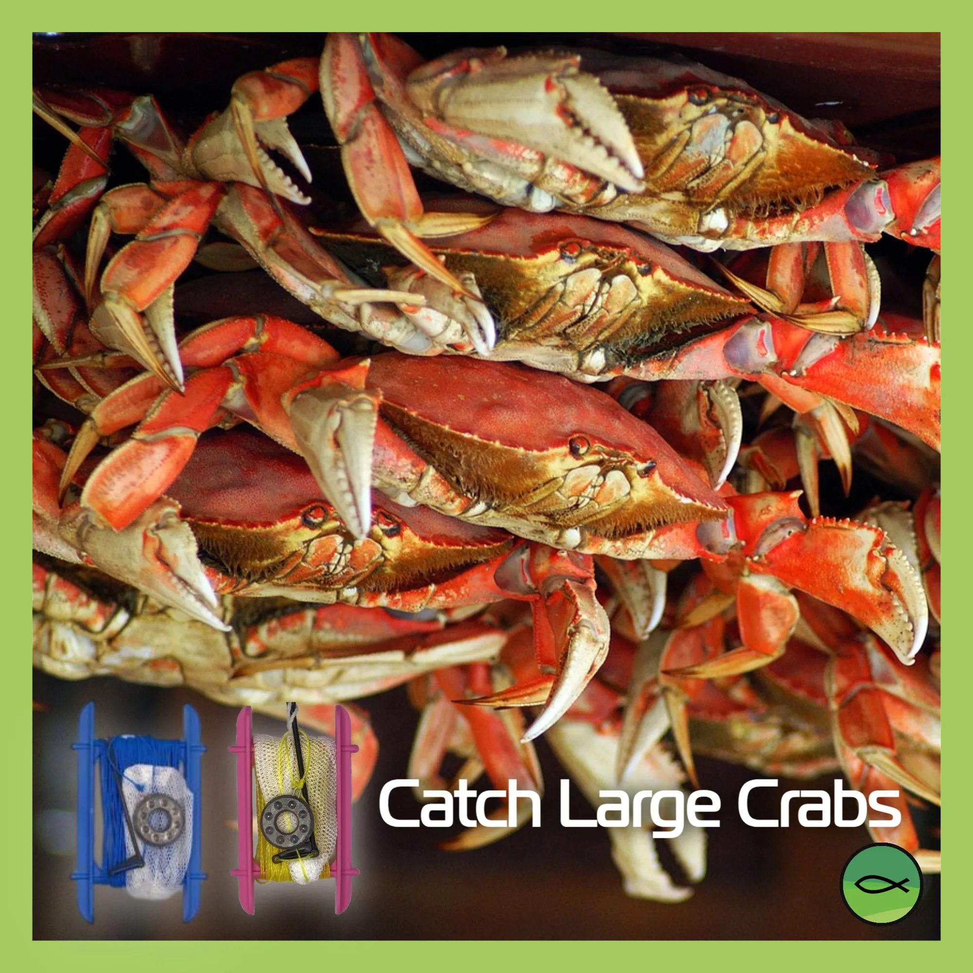 Blue Crab Line With Bag, Boom And Weight (Child Safety, No Hook)